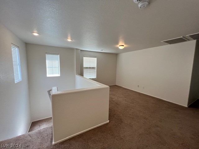 11029 Sundad Street - Photo 13