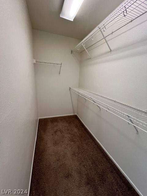 11029 Sundad Street - Photo 14