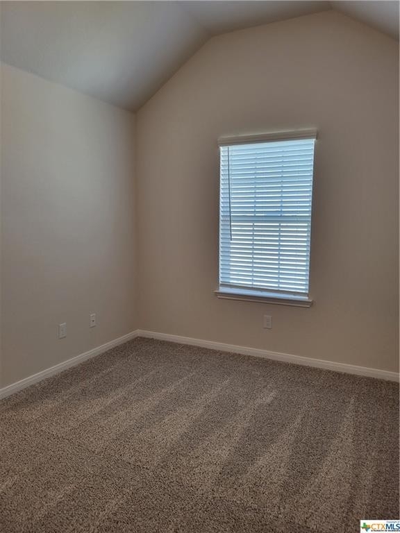 6204 Golden Gate Drive - Photo 38