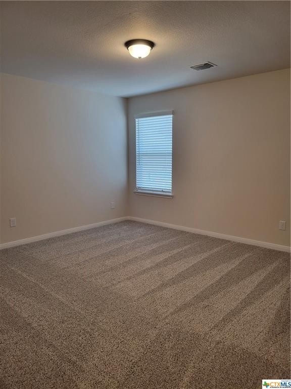 6204 Golden Gate Drive - Photo 29