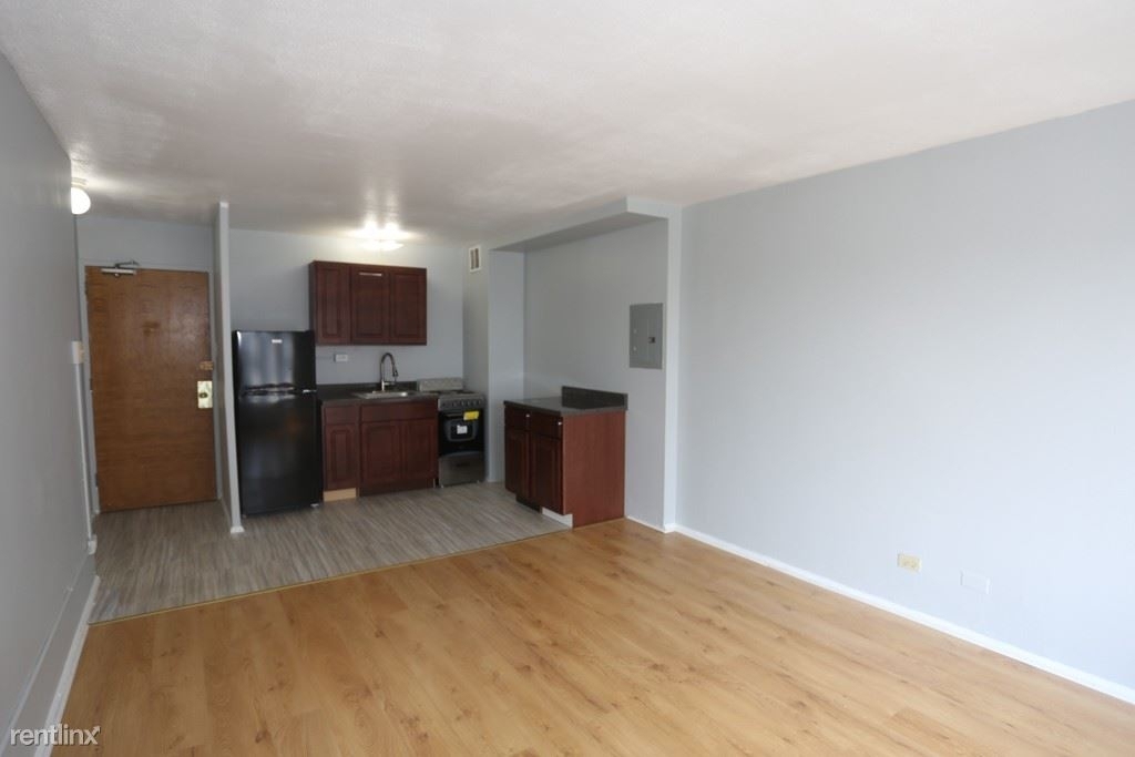 7333 N. Ridge, Unit C205 - Photo 8