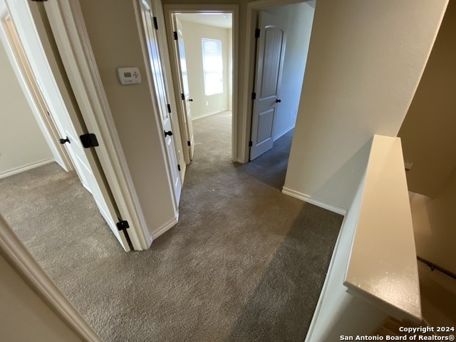 6012 Jax Way - Photo 12