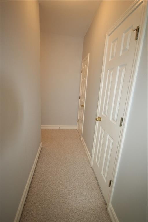 2532 Chestnut Landing - Photo 35