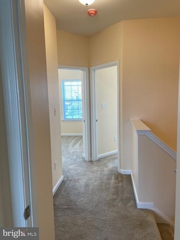 303 N Bayberry Parkway - Photo 20