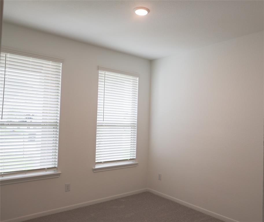 6815 Ivory Sedge Trail - Photo 11