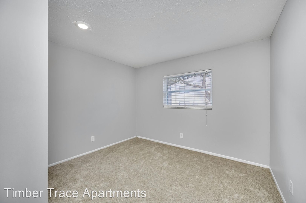 11716 N 58th St - Photo 7