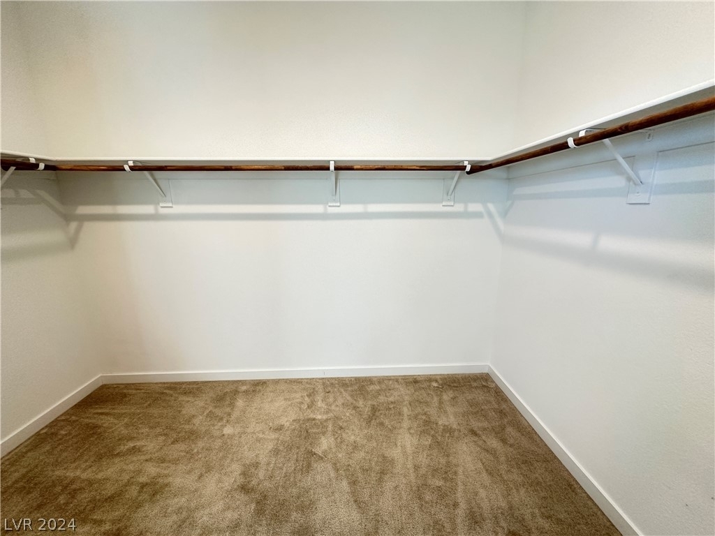 6932 Boulder Canyon Street - Photo 26