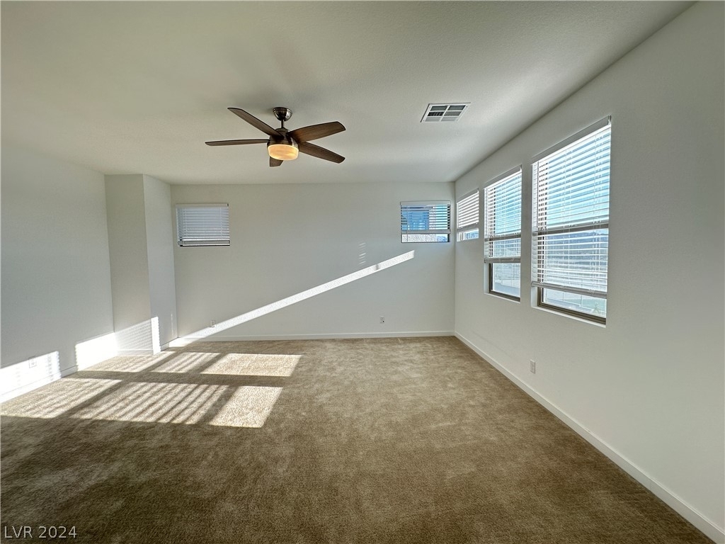 6932 Boulder Canyon Street - Photo 17