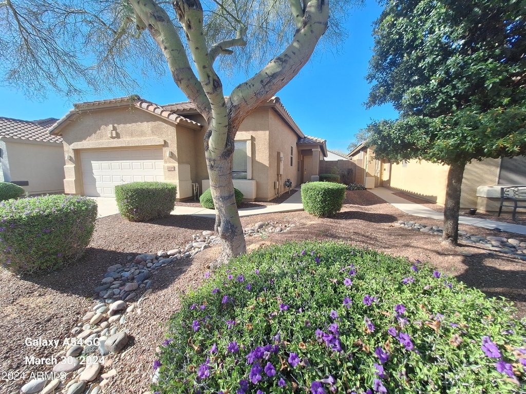 12748 W Honeysuckle Street - Photo 2