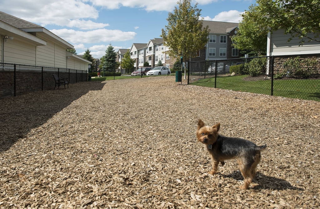 400 Foxborough Blvd. - Photo 23