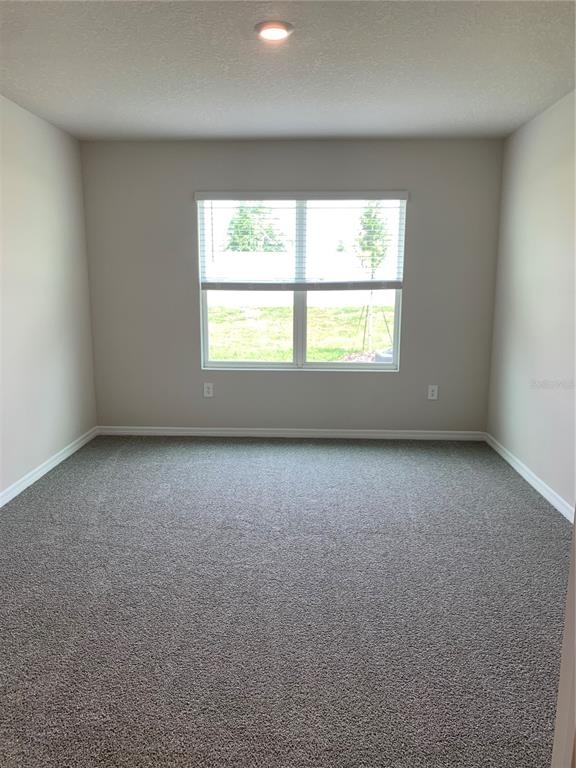 18015 Canopy Place - Photo 14