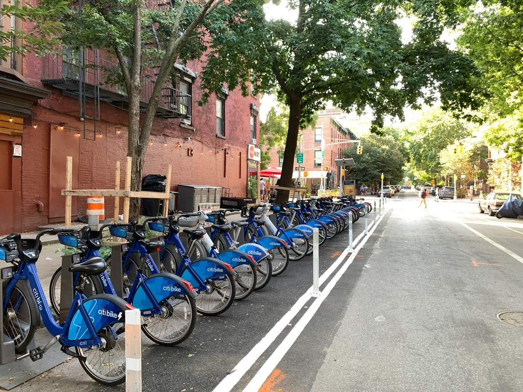 Cumberland Street @ Fort Greene Park - Photo 7