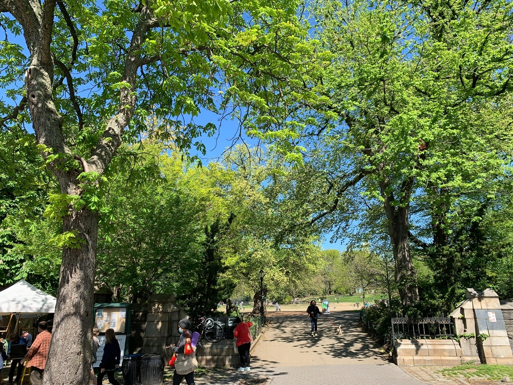 Cumberland Street @ Fort Greene Park - Photo 8