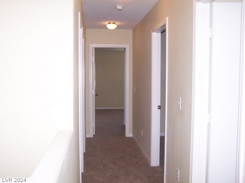 6045 Aripeka Street - Photo 14