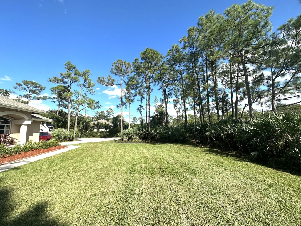 13589 Key Lime Boulevard - Photo 3