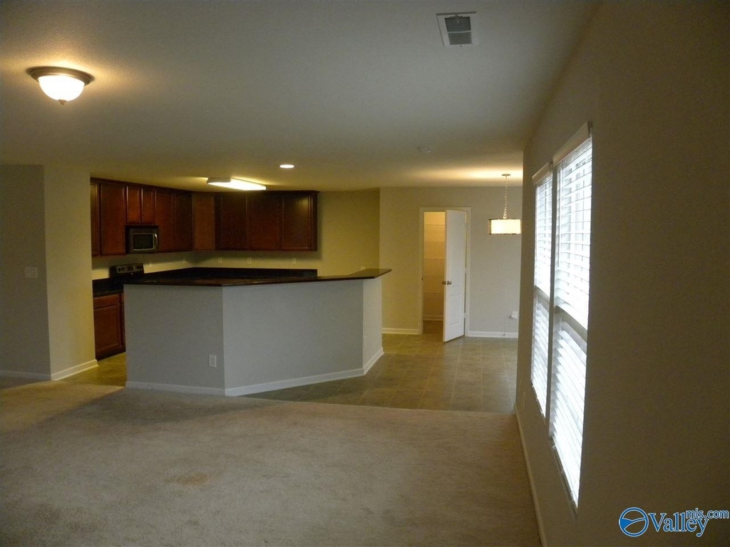 215 Ivyleaf Drive - Photo 3