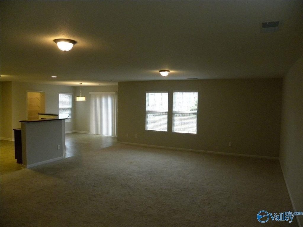 215 Ivyleaf Drive - Photo 1