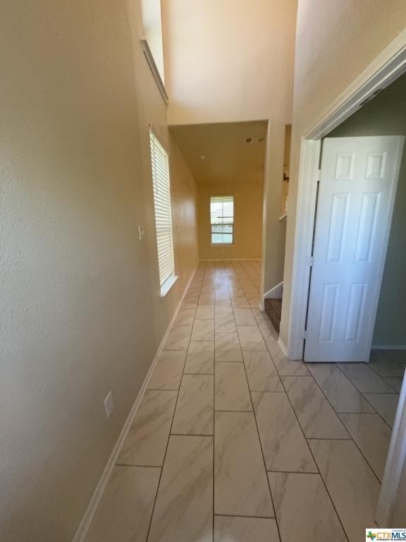 2508 Black Orchid Drive - Photo 1