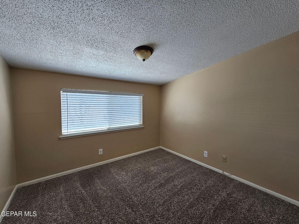 10224 Luella Avenue - Photo 14