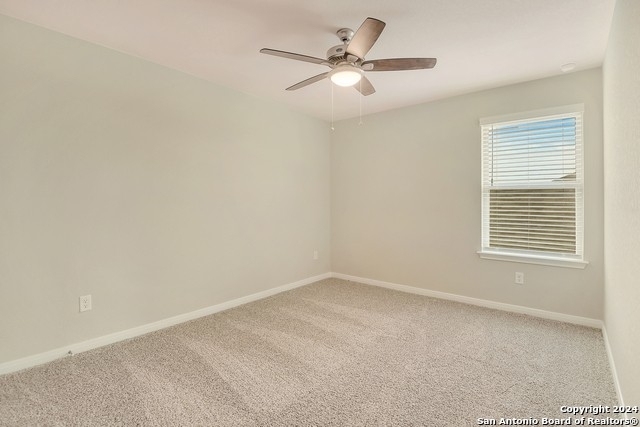 1247 Meyers Meadows - Photo 15