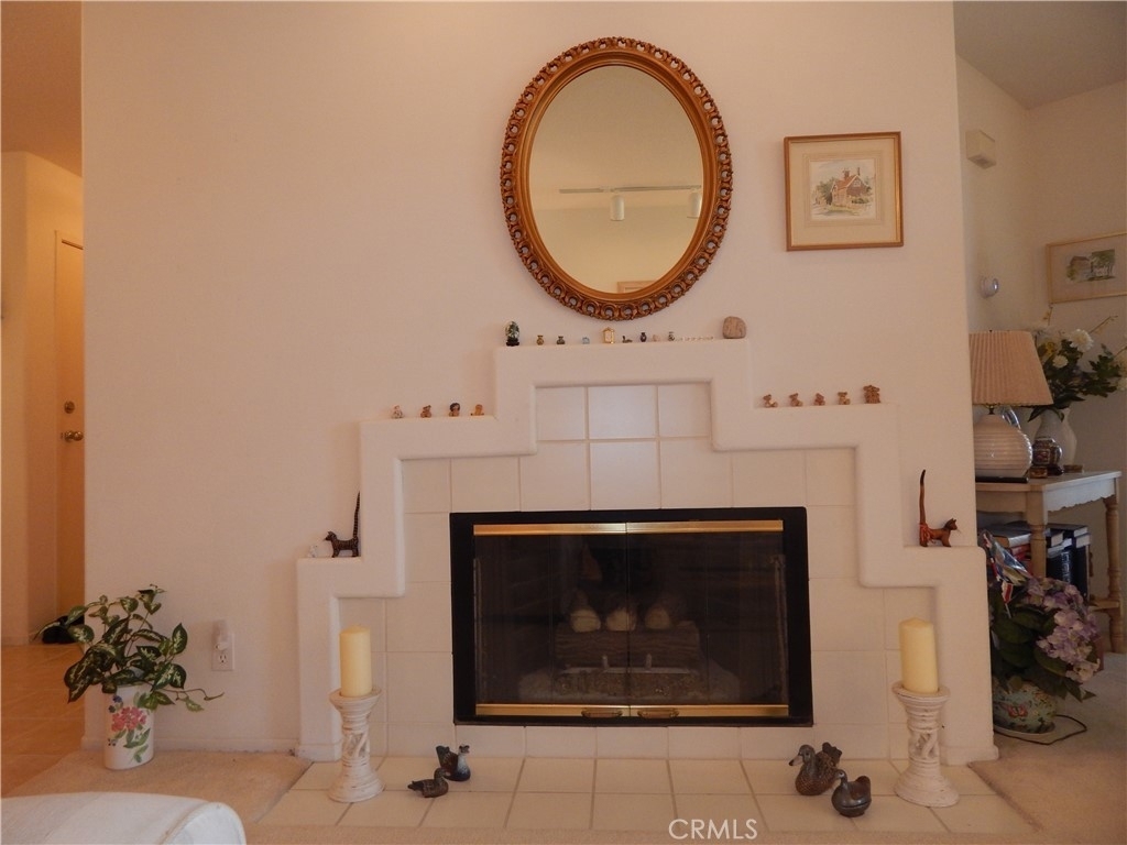 28685 La Siena - Photo 9