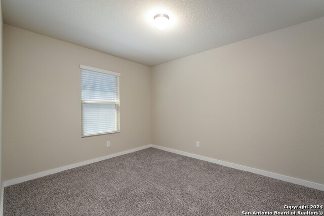 706 Retama Pass - Photo 11