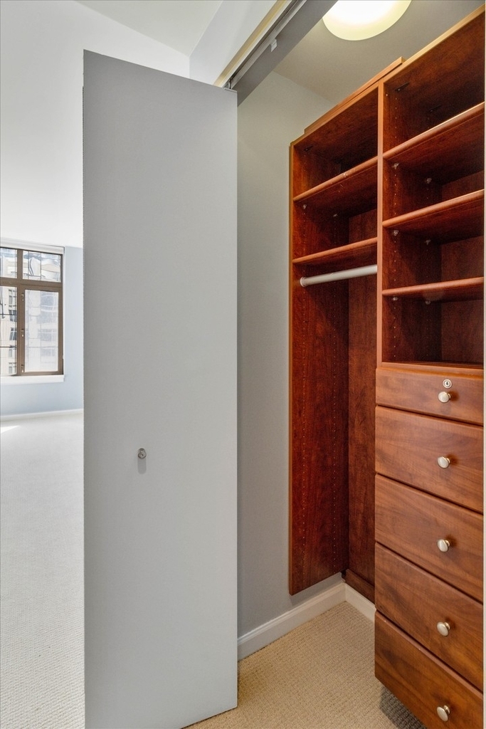 530 N Lake Shore Drive - Photo 11