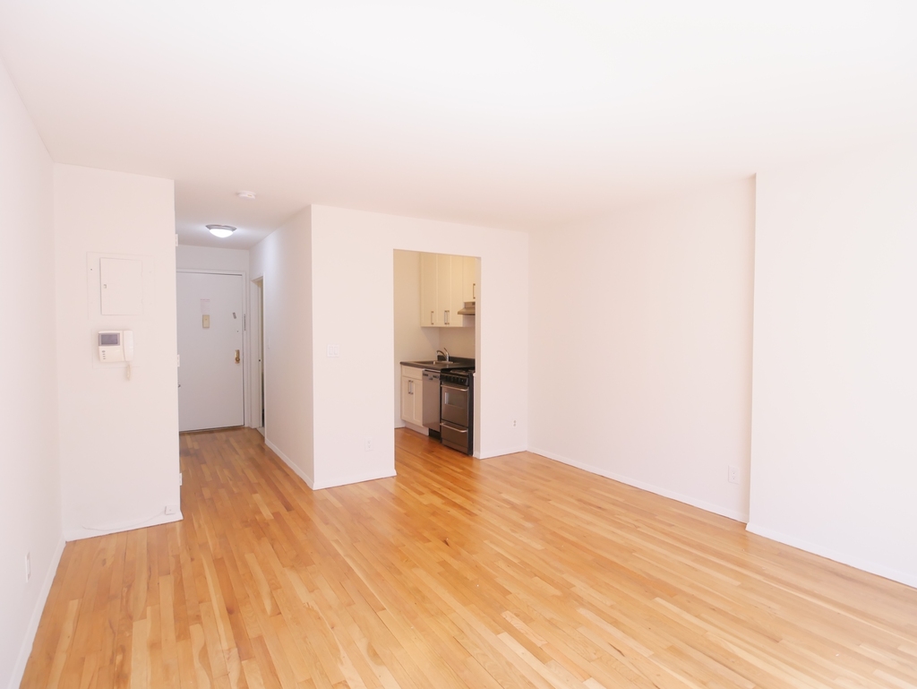 254 East 10th Street - Photo 6