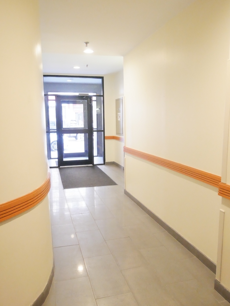254 East 10th Street - Photo 11