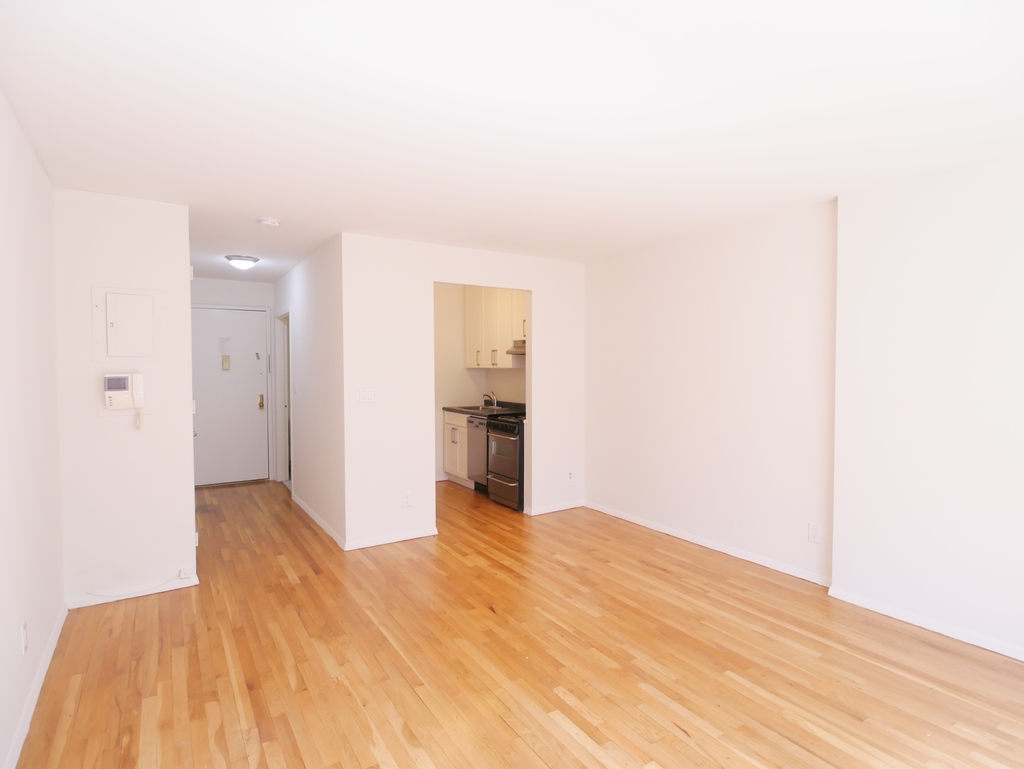 254 East 10th Street - Photo 5