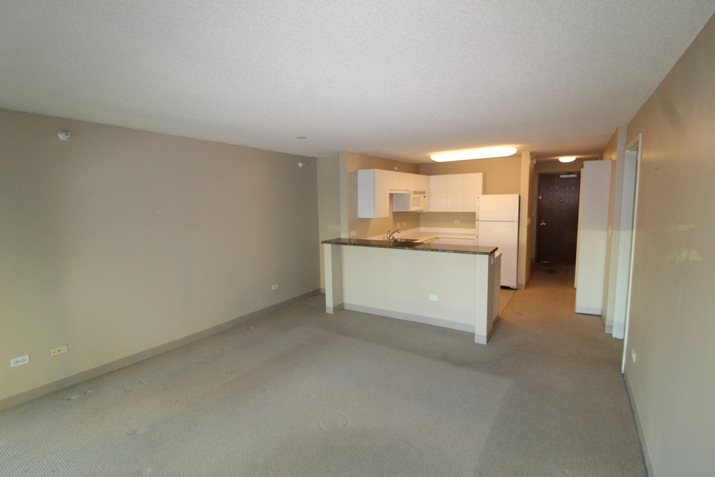 2 E Erie Street - Photo 11