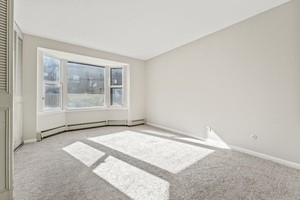 8232 Niles Center Road - Photo 2