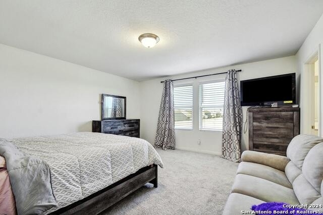 14383 Elkhorn Crst - Photo 16