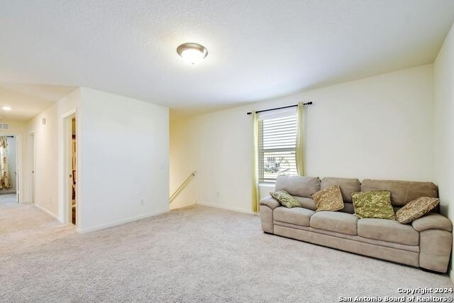 14383 Elkhorn Crst - Photo 14