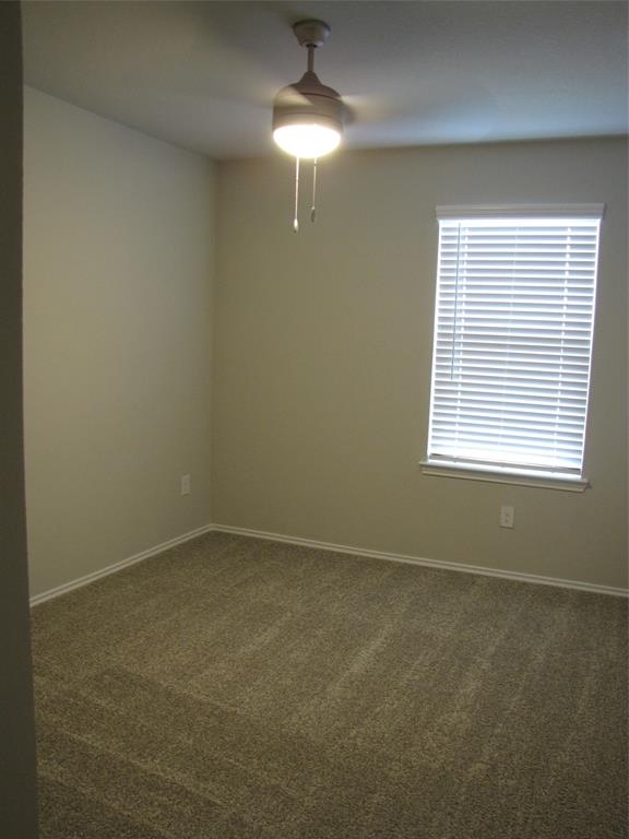 12039 Black Sage Drive - Photo 11