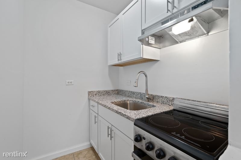 1440 W. Howard St. Apt. 10 - Photo 4