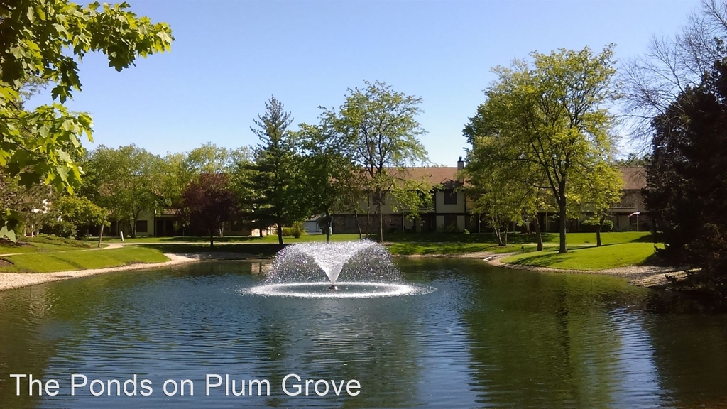 619 Plum Grove Rd - Photo 3