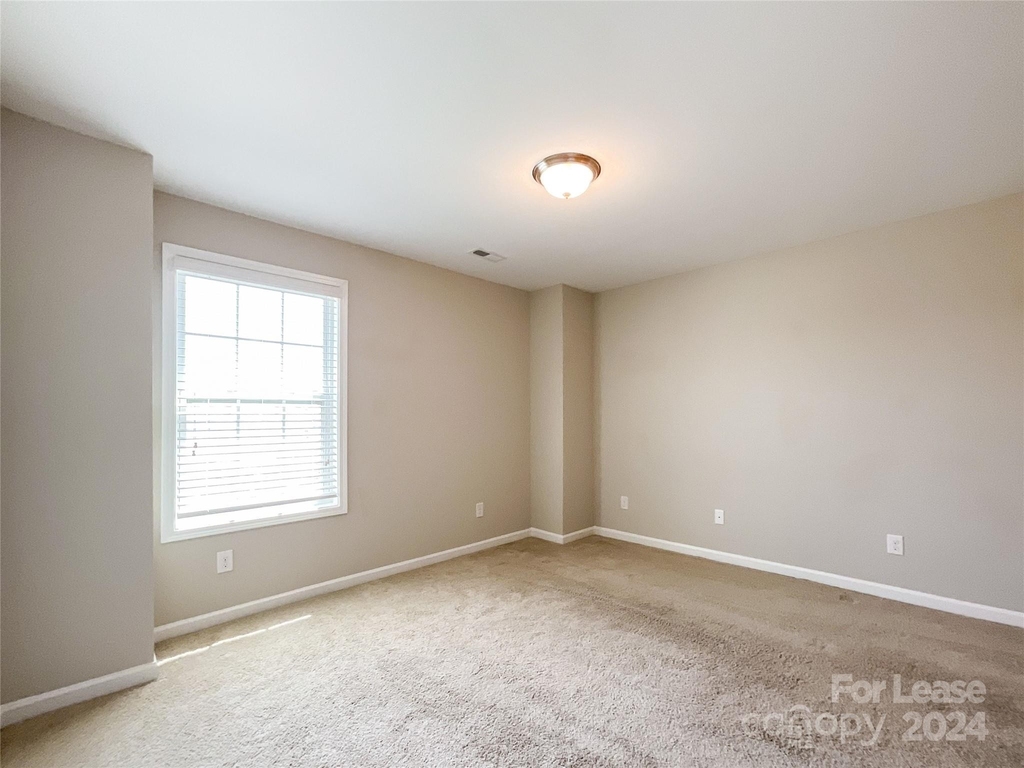 4729 Brightfalls Way - Photo 23