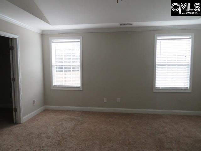 18 Twinspur Circle - Photo 28