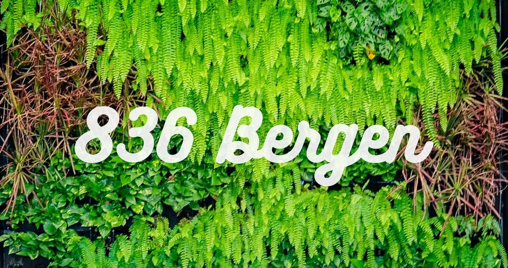 836 Bergen St - Photo 8
