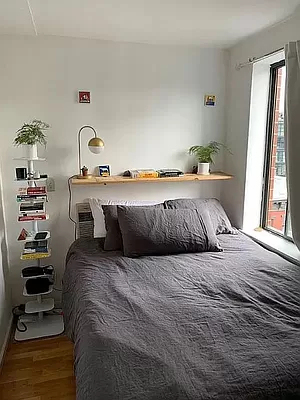 259 Elizabeth Street - Photo 7