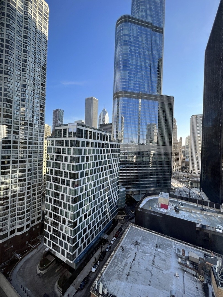 440 N Wabash Avenue - Photo 11