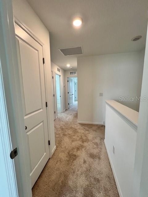 17711 Japonica Bloom Drive - Photo 23