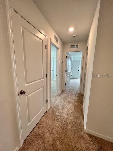 17711 Japonica Bloom Drive - Photo 24