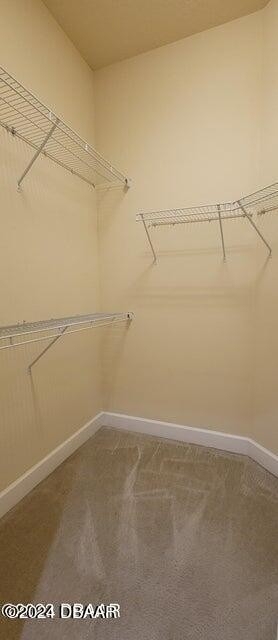 1028 Kilkenny Lane - Photo 9