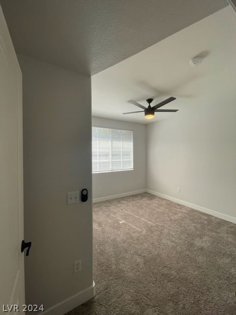 9901 Trailwood Drive - Photo 22