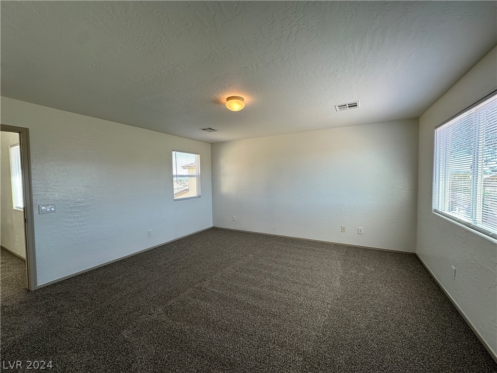 8069 Celina Hills Street - Photo 14