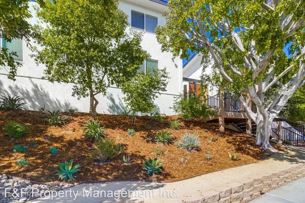 9808 Paseo Montalban - Photo 2