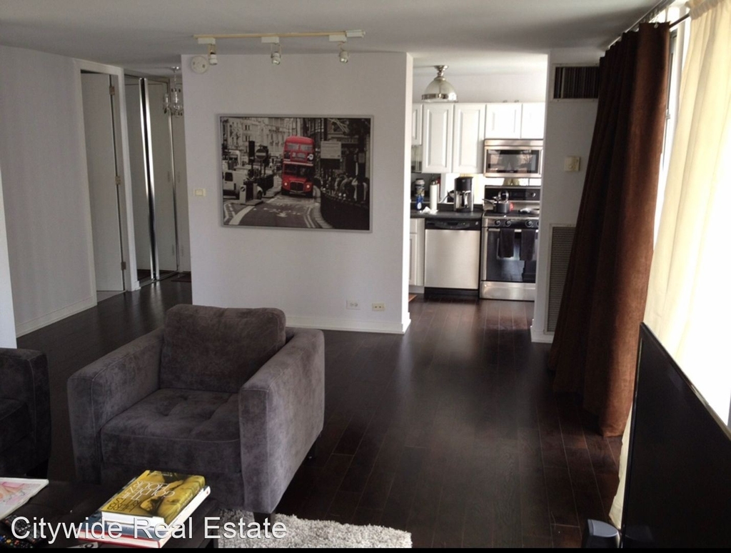 1 E Scott St #910 - Photo 7