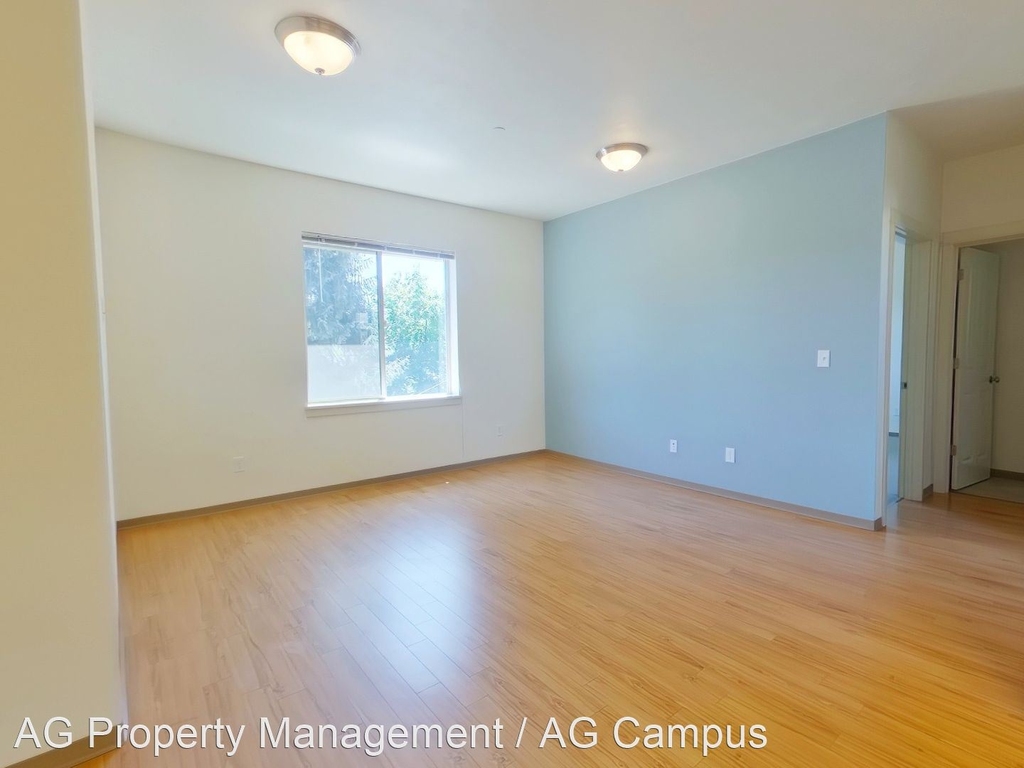 1370 East 19th Ave - Photo 4